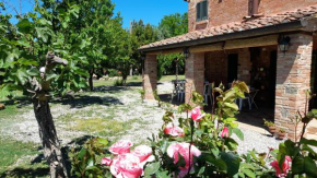 Come in agriturismo - Montepulciano - Vacation in Tuscany